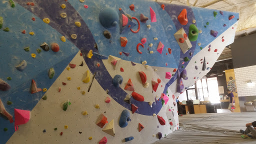 Gym «Summit Climbing, Yoga & Fitness - Denton», reviews and photos, 220 W Oak St, Denton, TX 76201, USA