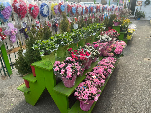 Florist «Flowers By Sanchez», reviews and photos, 78-10 Cypress Ave, Flushing, NY 11385, USA