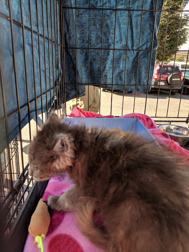 Pet Store «Pet Pals Discount Pet Foods & Supplies», reviews and photos, 3660 Soquel Dr, Soquel, CA 95073, USA