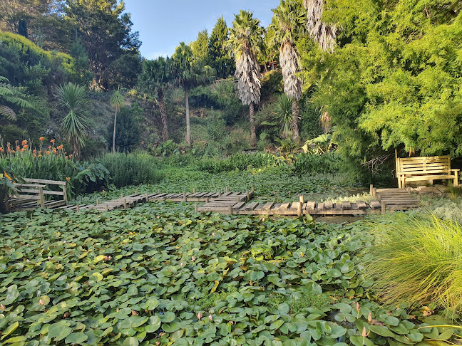 Wrights Water Gardens - Pukekohe