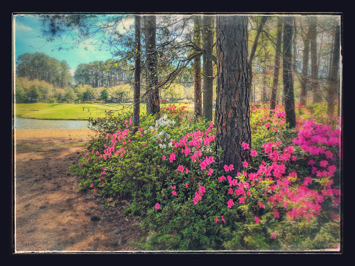 Golf Club «Okatie Creek Golf Club», reviews and photos, 1 Sun City Blvd, Bluffton, SC 29910, USA