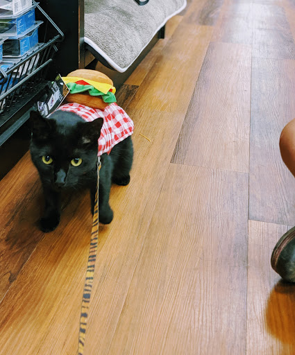 Pet Supply Store «Pet Valu», reviews and photos, 1305 West Seventh Street #28, Frederick, MD 21702, USA