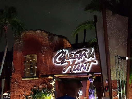 Roller Coaster «Cheetah Hunt», reviews and photos, 10165 N Malcolm McKinley Dr, Tampa, FL 33612, USA