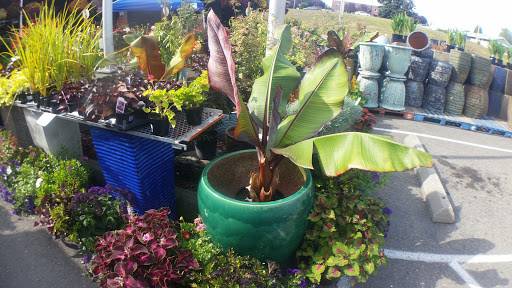 Produce Market «Tacoma Boys», reviews and photos, 5602 6th Ave, Tacoma, WA 98406, USA