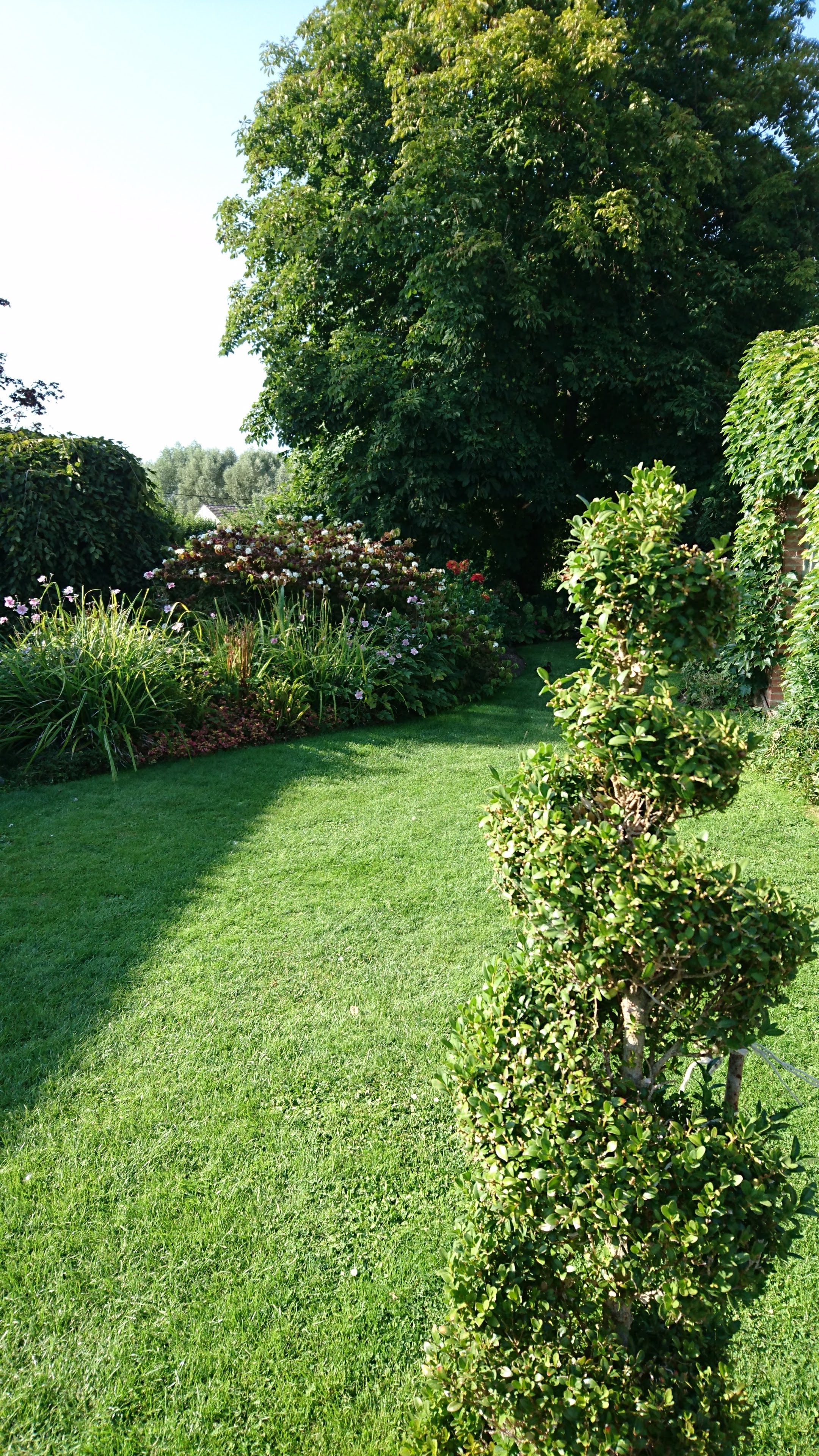 Photo n° 40 de l'avis de Pascale.o fait le 22/08/2019 à 07:54