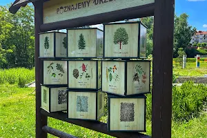 Park Zawilcowa- Zmysły image