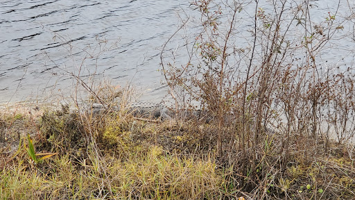 Golf Course «Osprey Point Golf Course», reviews and photos, 12551 Glades Road, Boca Raton, FL 33498, USA