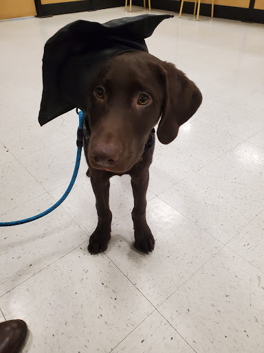 Pet Supply Store «PetSmart», reviews and photos, 1125 Hover St, Longmont, CO 80501, USA