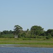 Maskunky Marsh
