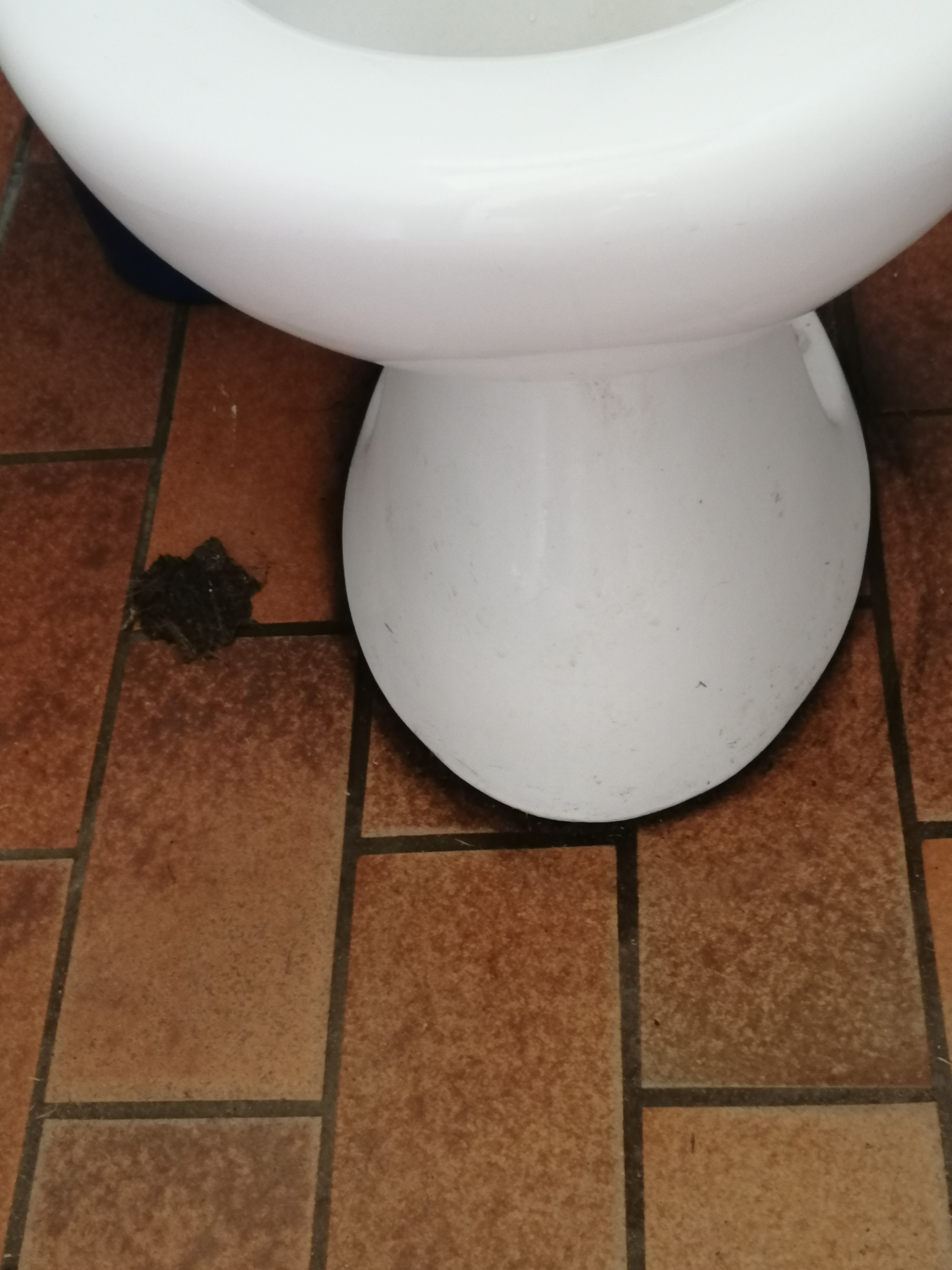 Photo n° 4 de l'avis de RCVJD. fait le 21/08/2023 à 10:11