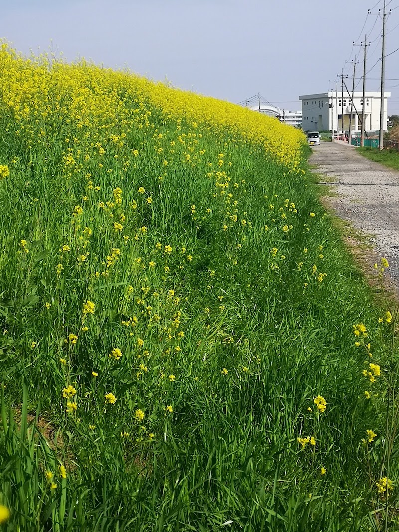 準用河川油面川排水機場