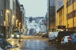 Brun og blid Tromsø image