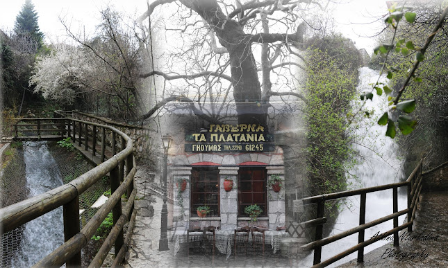 Τα Πλατάνια - Εστιατόριο