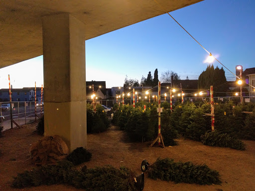 Delancey Street Foundation Christmas Tree Lot