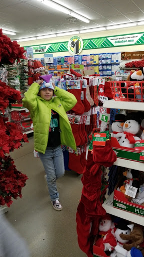 Dollar Store «Dollar Tree», reviews and photos, 389 Grand Valley Blvd, Martinsville, IN 46151, USA