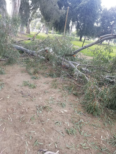 Golf Course «Fairmount Golf Course», reviews and photos, 2681 Dexter Dr, Riverside, CA 92501, USA