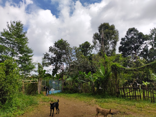Đăk Nông Eco Farm