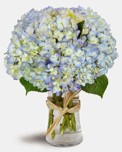 Florist «The Daisy Fair Flowers», reviews and photos, 1400 4th Ave, Conway, SC 29526, USA