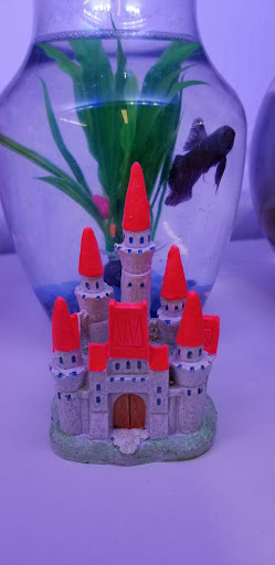 Pet Supply Store «Best Pets», reviews and photos, 905 Washington Ave, Detroit Lakes, MN 56501, USA