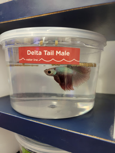 Pet Supply Store «Petco Animal Supplies», reviews and photos, 4915 E 41st St C, Tulsa, OK 74135, USA