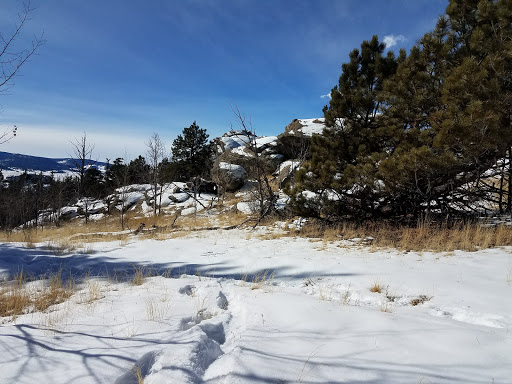 General Store «Eleven Mile General Store», reviews and photos, 5790 Co Rd 92, Lake George, CO 80827, USA