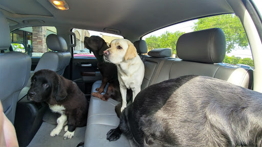 Pet Store «Earthwise Pet - Southlake», reviews and photos, 100 W Southlake Blvd #150, Southlake, TX 76092, USA