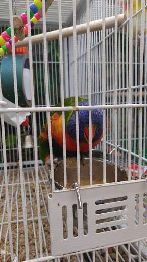 Pet Supply Store «Pet Supplies Plus», reviews and photos, 926 NJ-73, Marlton, NJ 08053, USA