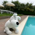 Photo n°2 de l'avis de Florian.a fait le 28/05/2023 à 14:23 sur le  Hotel Ladurner à Merano