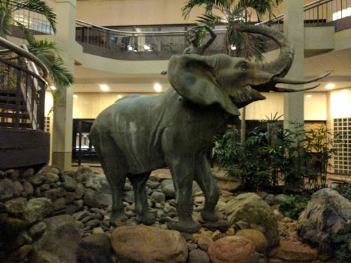 Shopping Mall «Burlington Center Mall», reviews and photos, 2501 Mt Holly Rd, Burlington, NJ 08016, USA