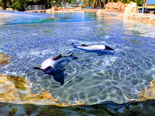 Water Park «Aquatica», reviews and photos, 5800 Water Play Way, Orlando, FL 32821, USA