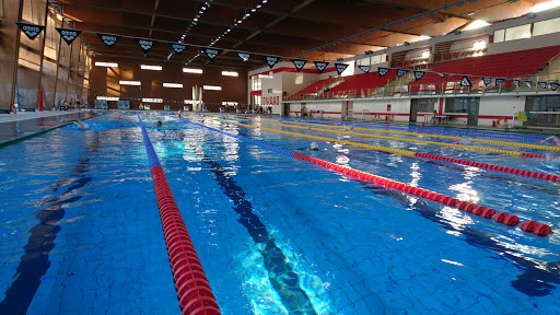 Dinamo swimming pool - Tolea Grințescu