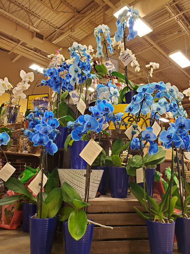 Grocery Store «Randalls», reviews and photos, 2301 Ranch Rd 620 S, Lakeway, TX 78734, USA