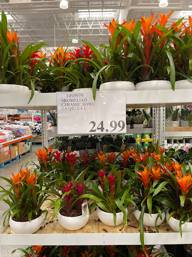 Warehouse store «Costco Wholesale», reviews and photos, 1001 Metro Center Blvd, Foster City, CA 94404, USA