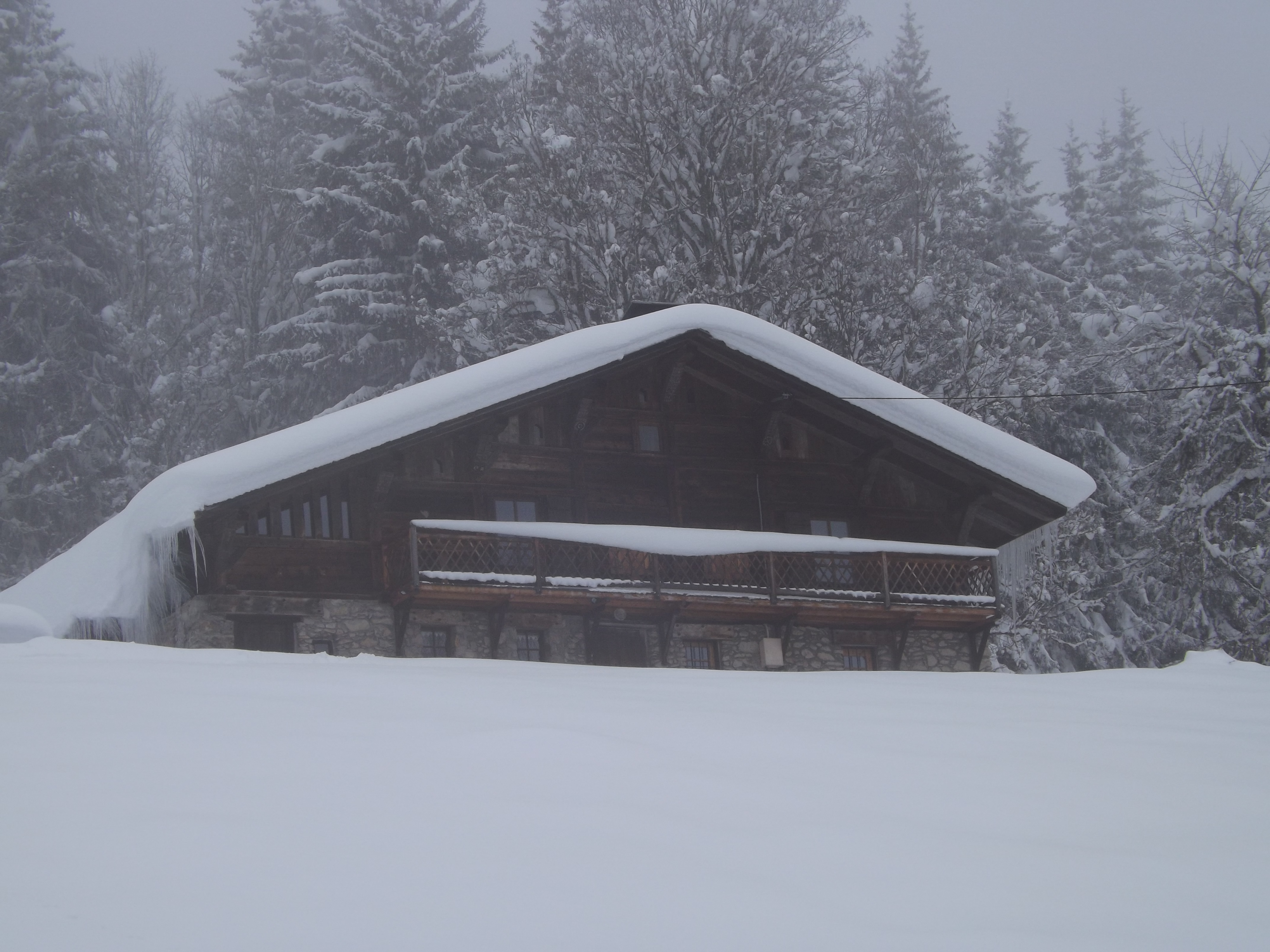 Photo n° 15 de l'avis de Sylvain.� fait le 27/11/2022 à 10:09