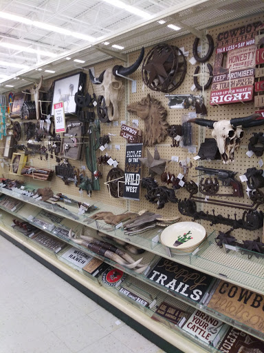Craft Store «Hobby Lobby», reviews and photos, 4887 S Wadsworth Blvd #100, Littleton, CO 80123, USA