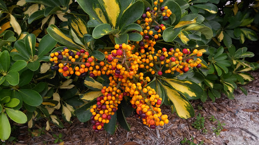 Park «Jose Marti Park», reviews and photos, 351 SW 4th Ave, Miami, FL 33144, USA