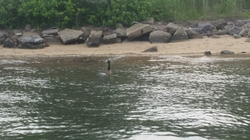 Park «Seamans Neck Park», reviews and photos, 2700 S Seamans Neck Rd, Seaford, NY 11783, USA