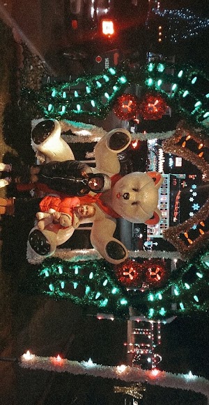 Crown Point Parkway, Christmas lights - photo 52