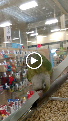 Pet Supply Store «PetSmart», reviews and photos, 857 N Val Vista Dr #106, Gilbert, AZ 85234, USA