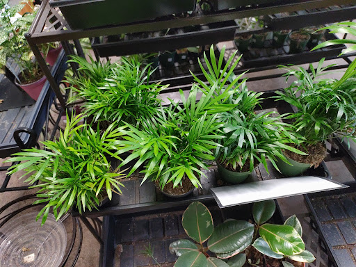 Gift Shop «Blue Hills Nursery & Gift Shop», reviews and photos, 16440 Whittier Blvd, Whittier, CA 90603, USA