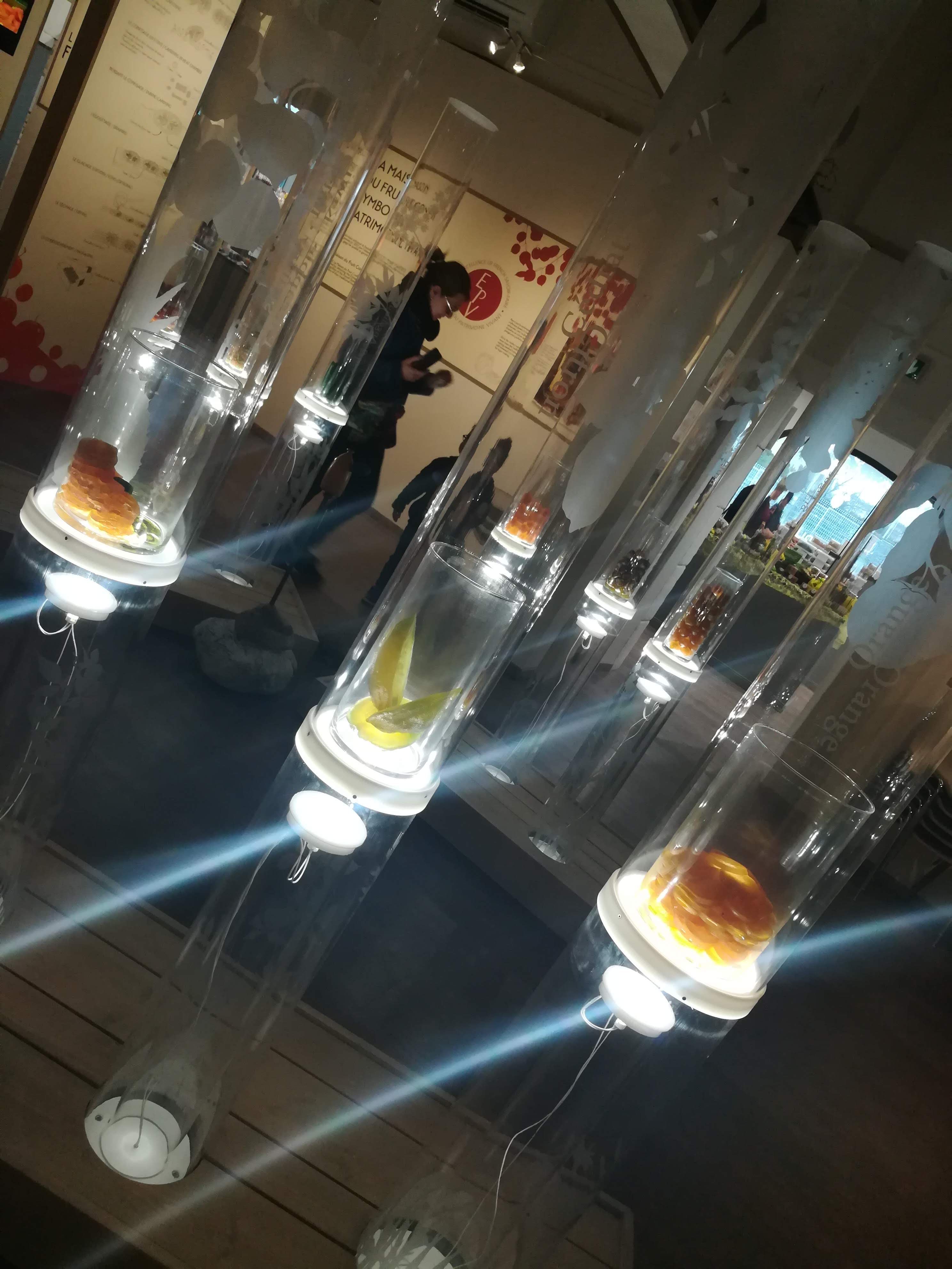 Photo n° 3 de l'avis de A. fait le 11/04/2019 à 17:58