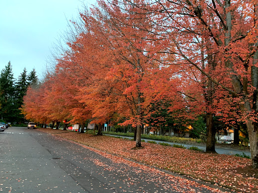 Community Center «North Bellevue Community Center», reviews and photos, 4063 148th Ave NE, Bellevue, WA 98007, USA
