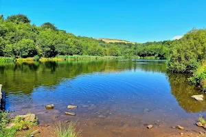 Strinesdale Country Park image