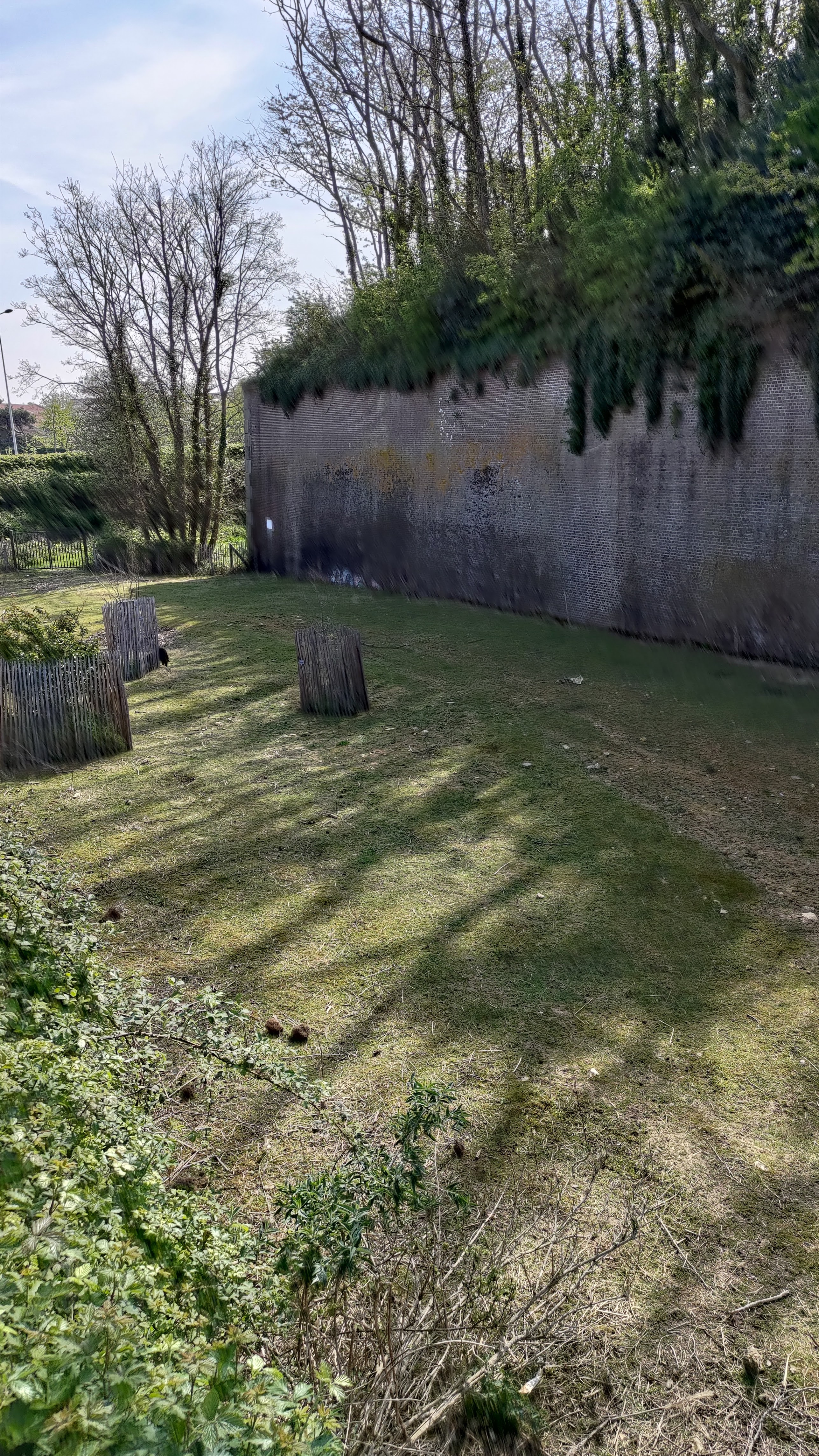 Photo n° 19 de l'avis de jean-philippe.a fait le 29/04/2022 à 16:53