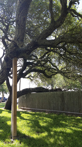 History Museum «Fulton Mansion State Historic Site», reviews and photos, 317 Fulton Beach Rd, Rockport, TX 78382, USA