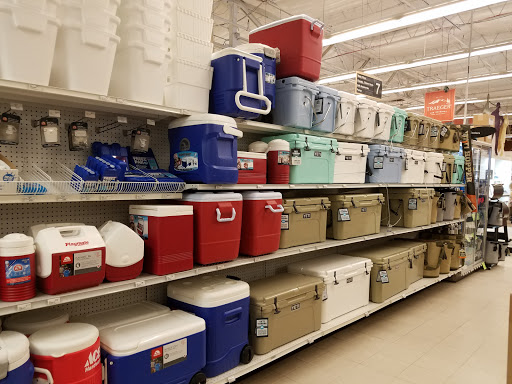 Hardware Store «Ace Hardware & Rental - Scottsdale», reviews and photos, 10300 N Scottsdale Rd, Scottsdale, AZ 85253, USA