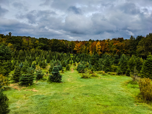 Outdoor Sports Store «Maple Hill Disc Golf», reviews and photos, 132 Marshall St, Leicester, MA 01524, USA