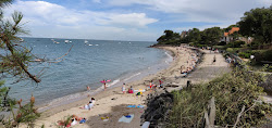 Plage des Souzeaux'in fotoğrafı geniş bir kıyı şeridi ile birlikte