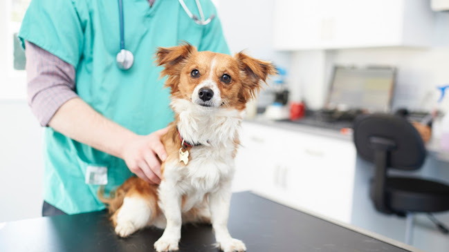 Reviews of Rogers, Brock & Barker Veterinary Surgeons - Abbey Hulton in Stoke-on-Trent - Veterinarian