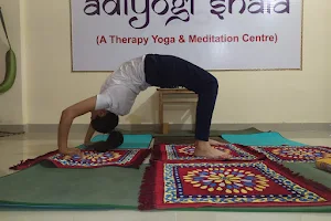 Adiyogi Shala - Panchakarma & Yoga Therapy Centre Rishikesh image